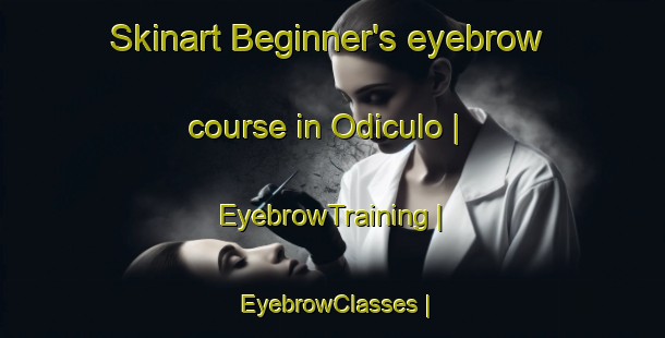 Skinart Beginner's eyebrow course in Odiculo | EyebrowTraining | EyebrowClasses | SkinartTraining-Mexico